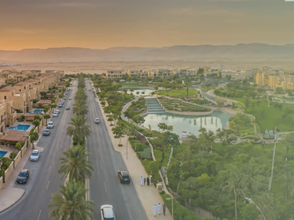 فلل دي جويا